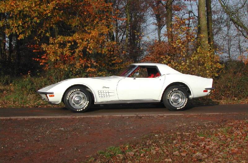 MARTINSRANCH 72 Stingray white red (19) 